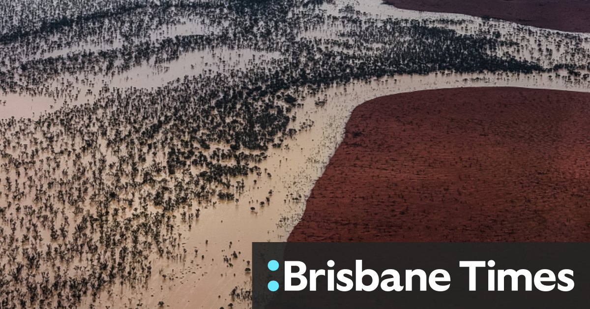 Queensland floods: graziers count staggering cost - Australian Online News
