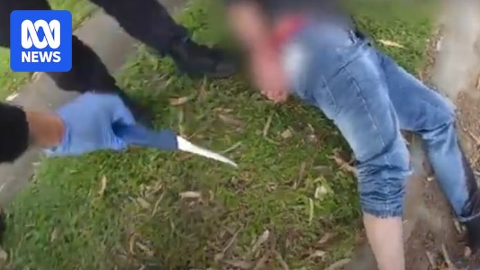 Man charged with attempted murder after alleged stabbing in Brisbane's ...