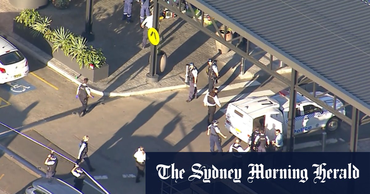 Man with machete shot dead by police after wife’s alleged melee ...
