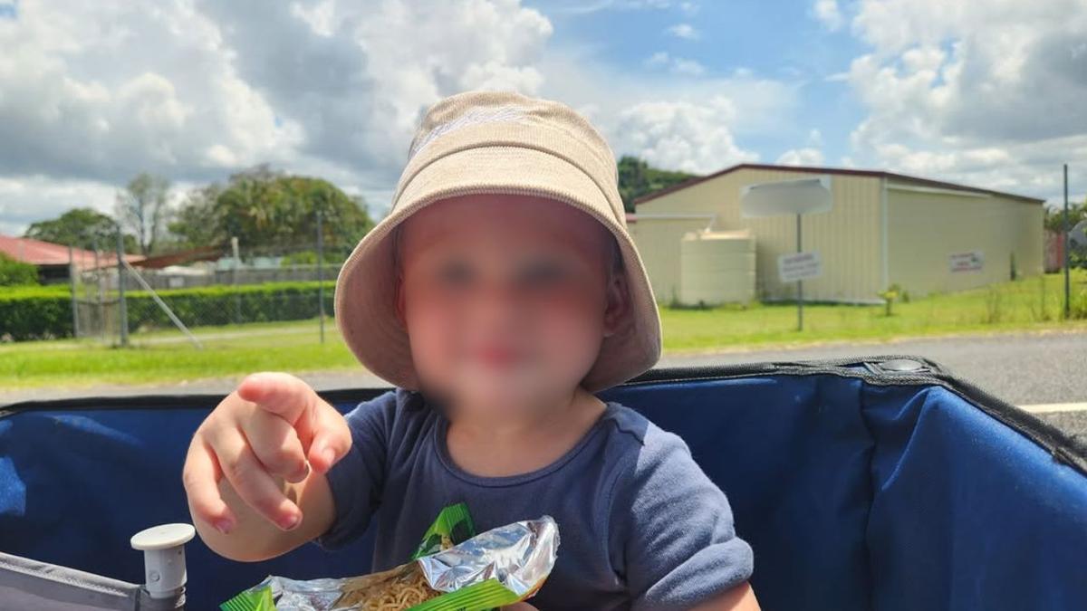 Toddler dead after being found unresponsive in pond at Queensland ...