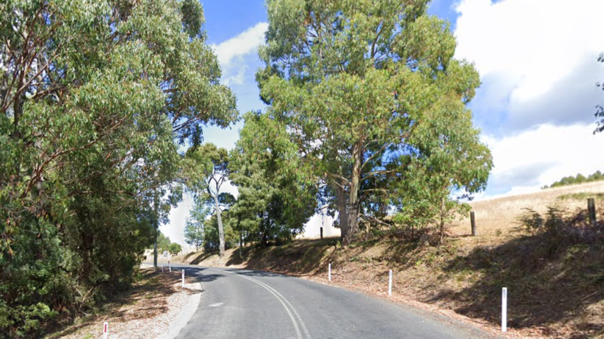 Man tragically killed after tree fell onto his ute at Forth in Tasmania ...