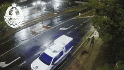 Driver arrested after allegedly ramming police car as officer fires ...