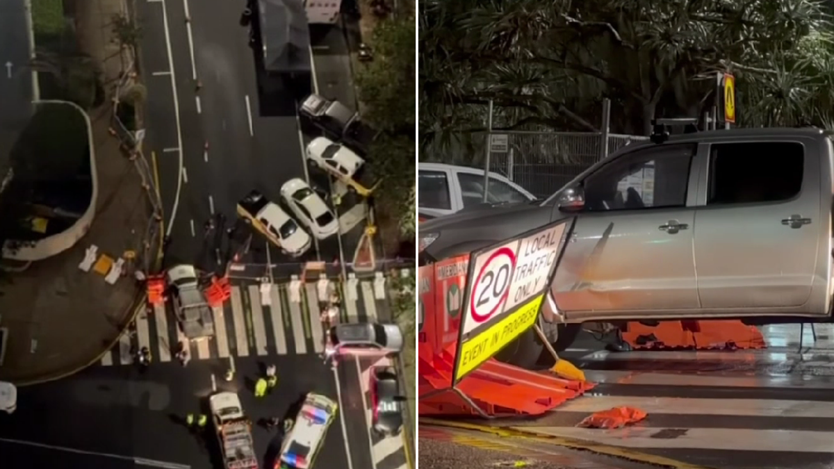 Zebrafish Track Security guard injured after driver allegedly ploughs ute into barrier ...