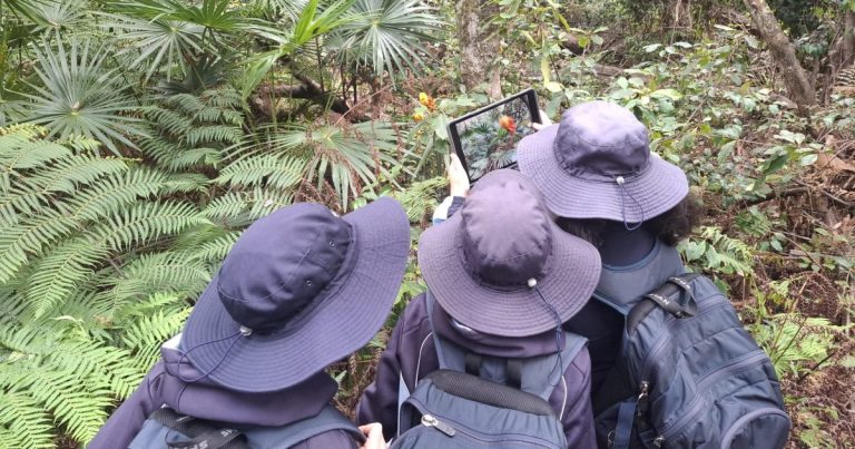 Chid Frame Science St Peter’s outdoor classes frame Broulee’s microforest future ...